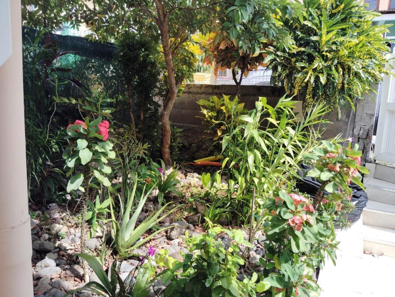 La Belle Martinique Villa Сен-Лу Екстериор снимка